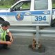 Illustration for article titled Ecuador Cops Save Tiny Terrified Sloth In Most Adorable Highway Rescue Ever